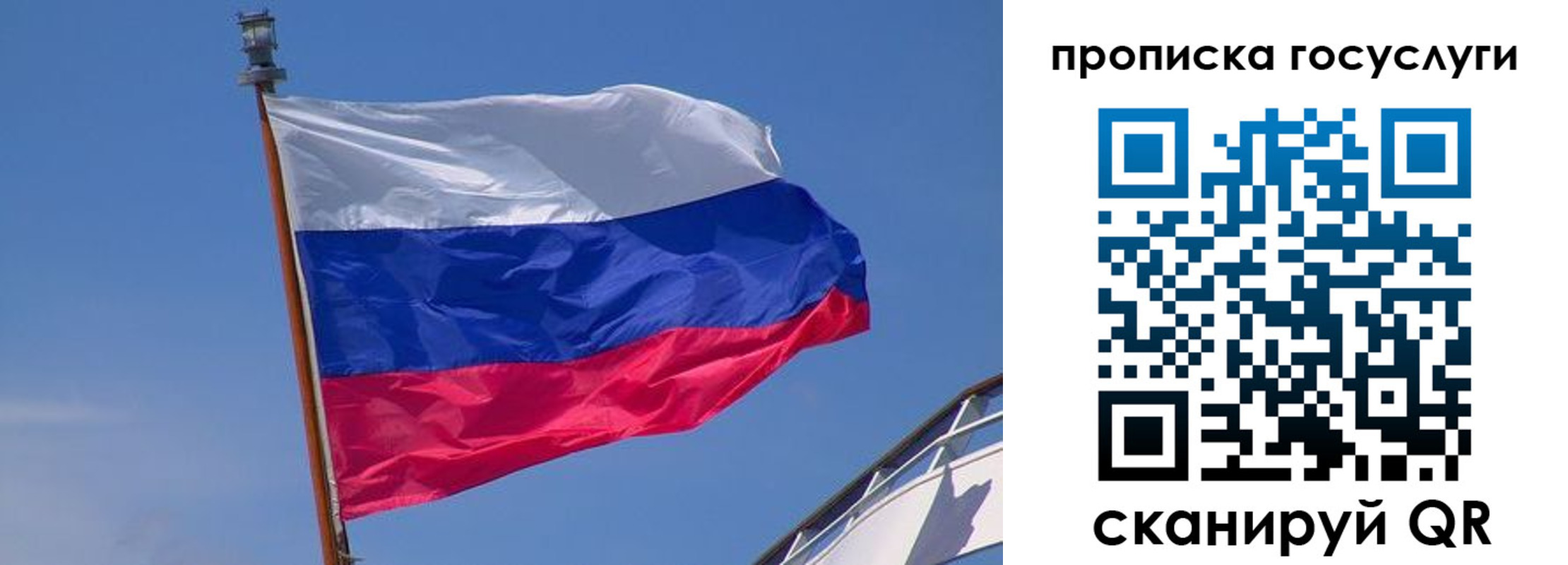 регистрация в Ельце